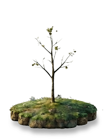 Stage 1 - Seedling